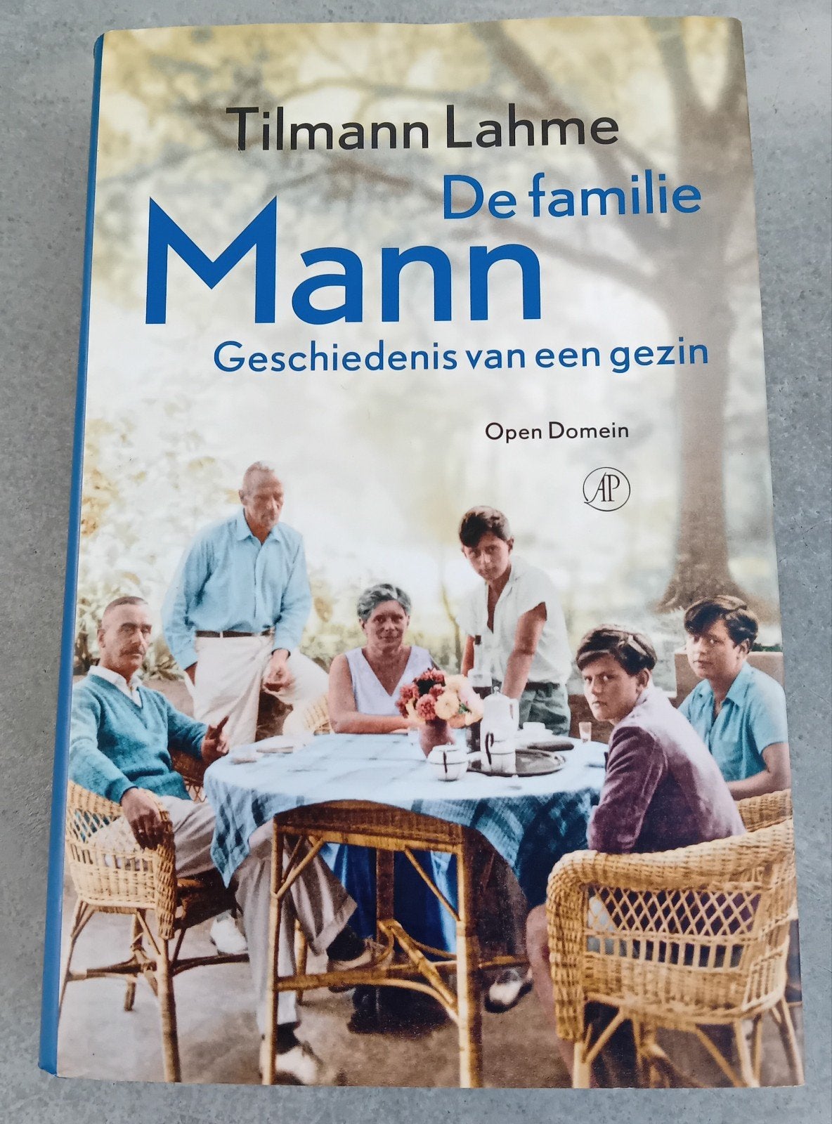 Tilmann Lahme - De familie Mann, Boeken, Ophalen of Verzenden, Zo goed als nieuw, Tilmann Lahme