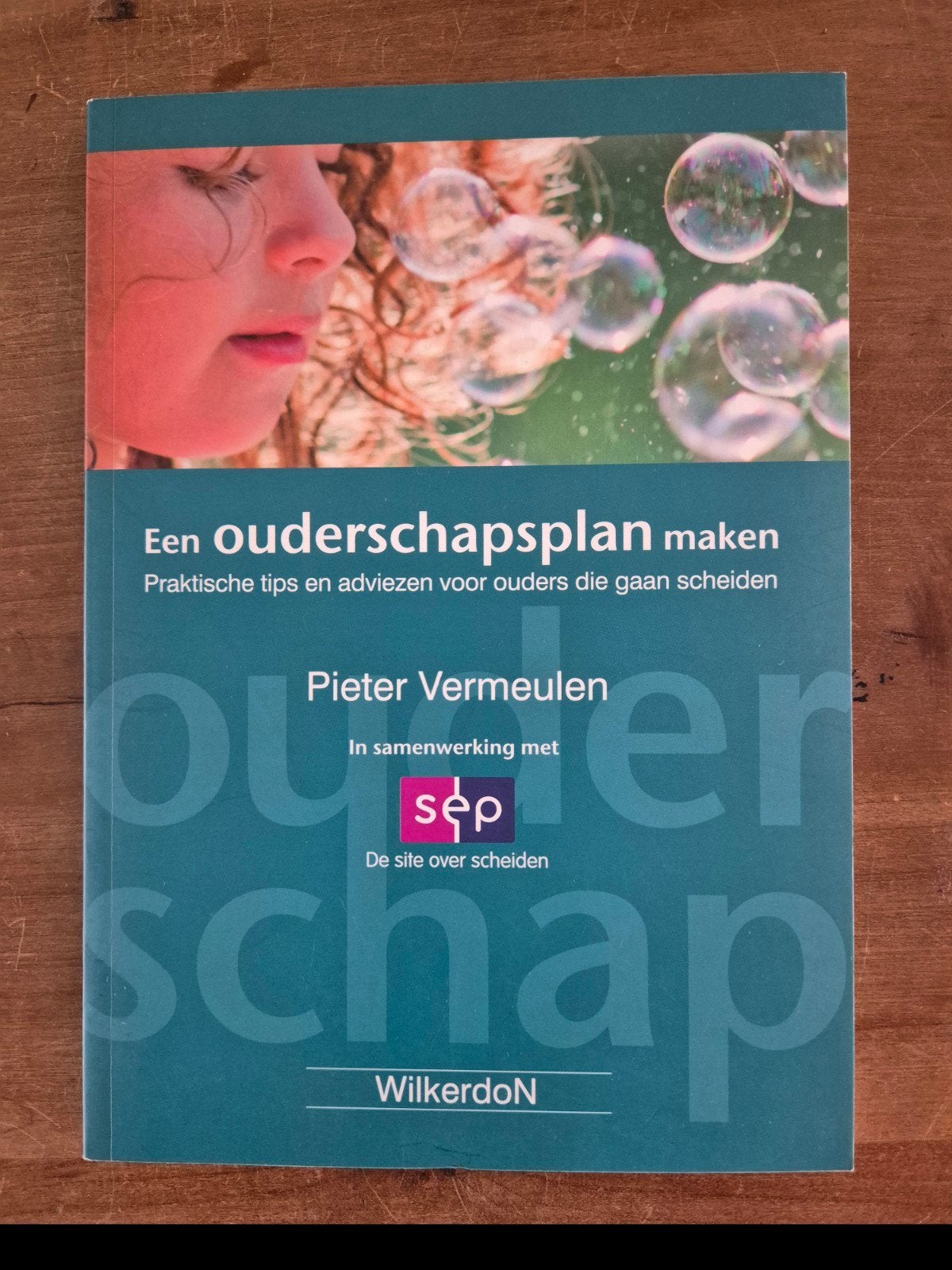 Een ouderschapsplan maken - Pieter Vermeulen, Ophalen of Verzenden, Zo goed als nieuw, Pieter Vermeulen