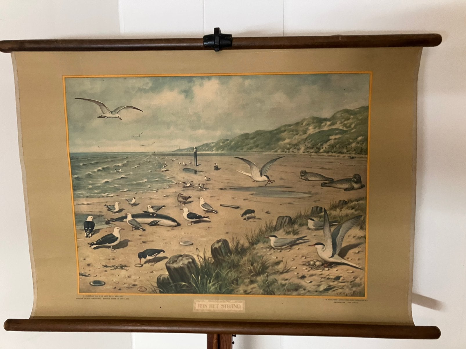 Schoolplaat Aan het strand, Antiek en Kunst, Antiek | Schoolplaten, Ophalen of Verzenden, Natuur en Biologie