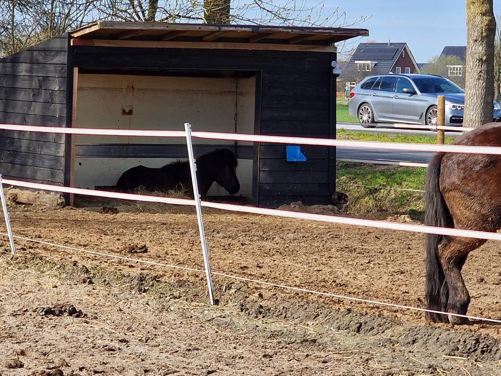 Plek vrij voor twee merries 24/7 buiten Oldeholtpade, Weidegang