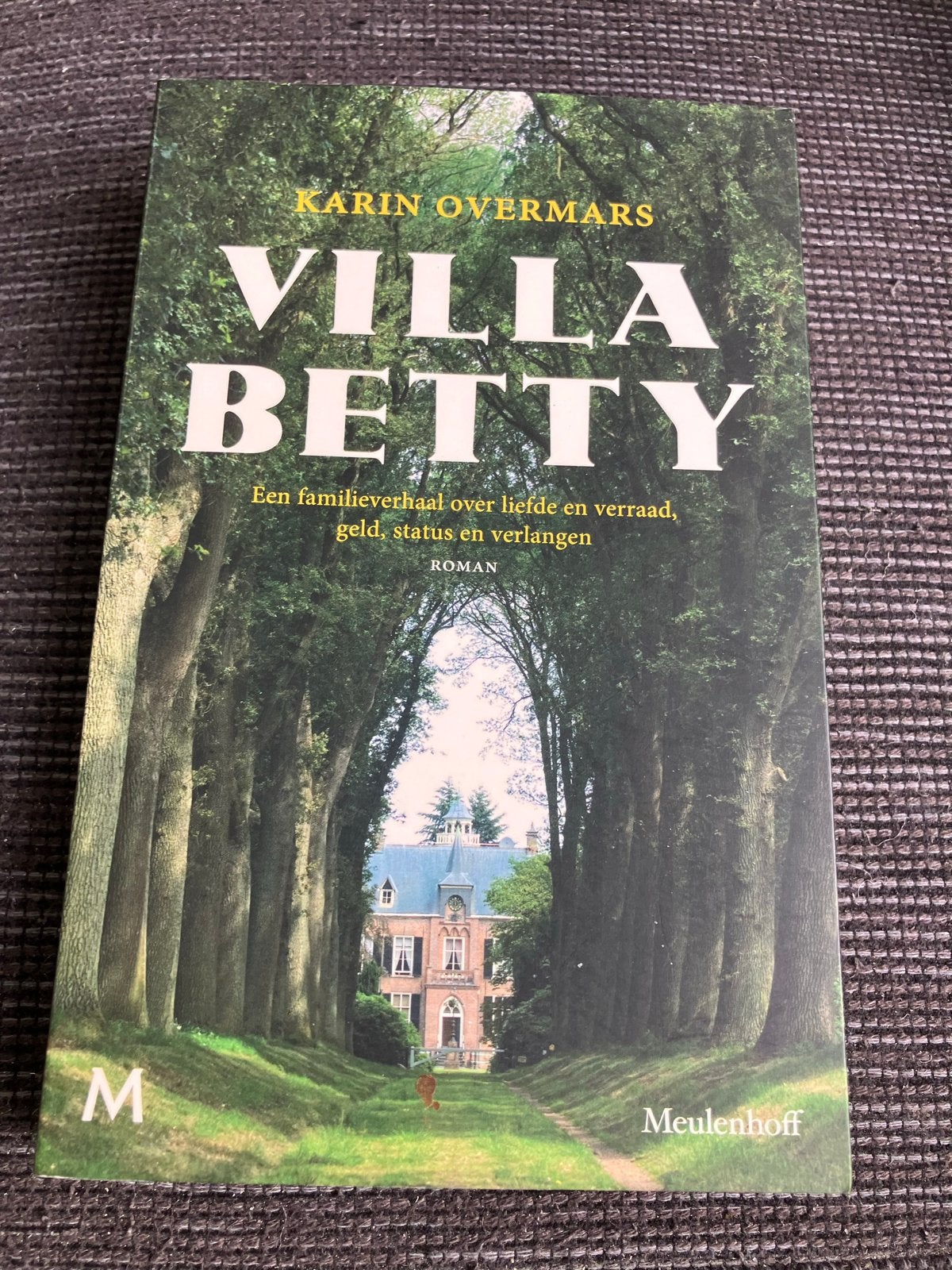 Villa Betty - Karin Overmars, Ophalen of Verzenden, Gelezen, Nederland
