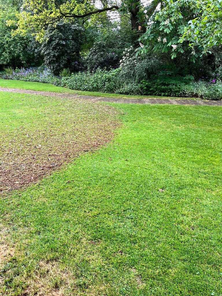 Foto 2 van Bladeren laten opruimen? | Broek Landwerken | Drenthe