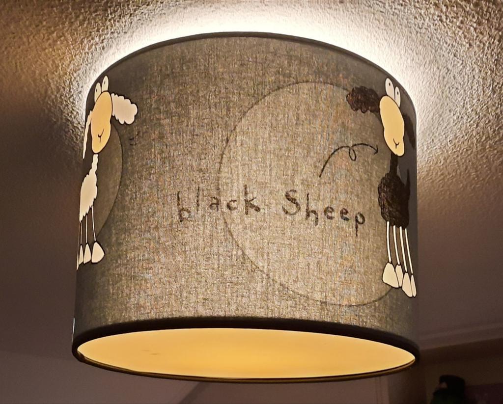 Leuke lampenkap met schapenprint - 'Black Sheep', Kinderen en Baby's, Kinderkamer | Inrichting en Decoratie, Gebruikt, Ophalen