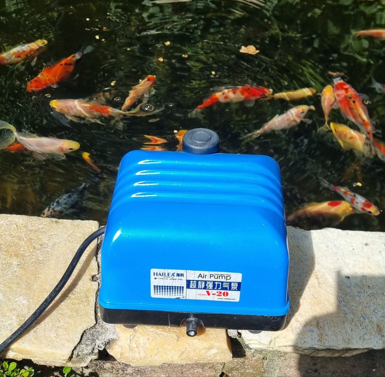 Aqua forte V20 zie ook mijn andere advertenties., Tuin en Terras, Ophalen of Verzenden