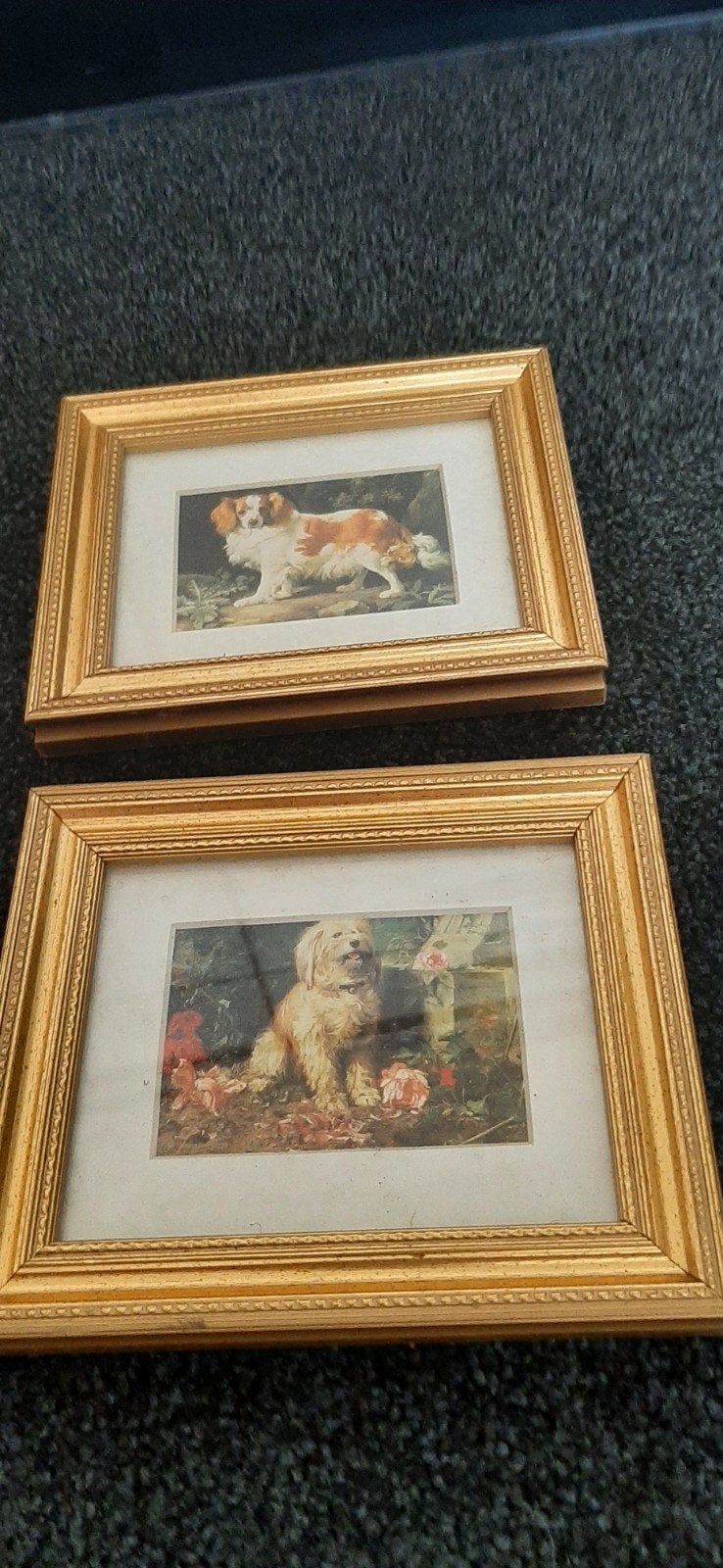 2 Schilderijtjes met honden in gouden lijst, Ophalen, Dieren, Klassiek, Print