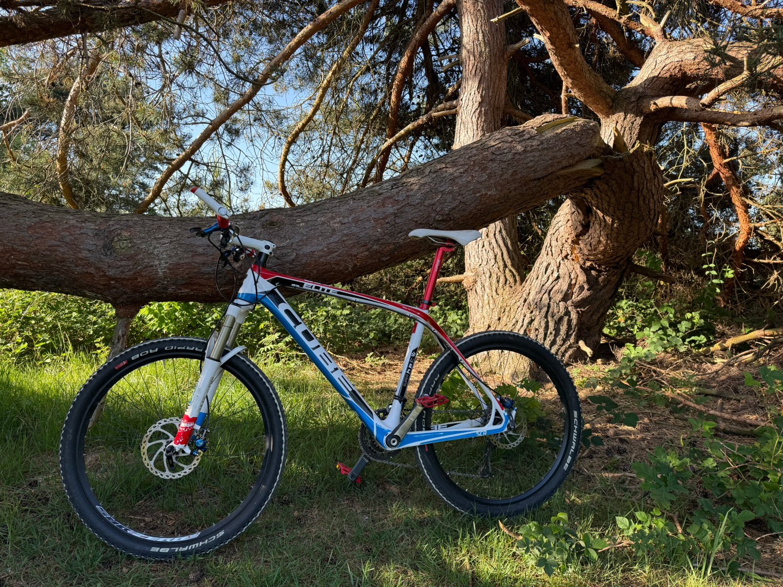 MTB Cube elite SRC 20 inch Carbon, Minder dan 45 cm, Ophalen, Gebruikt, Overige merken