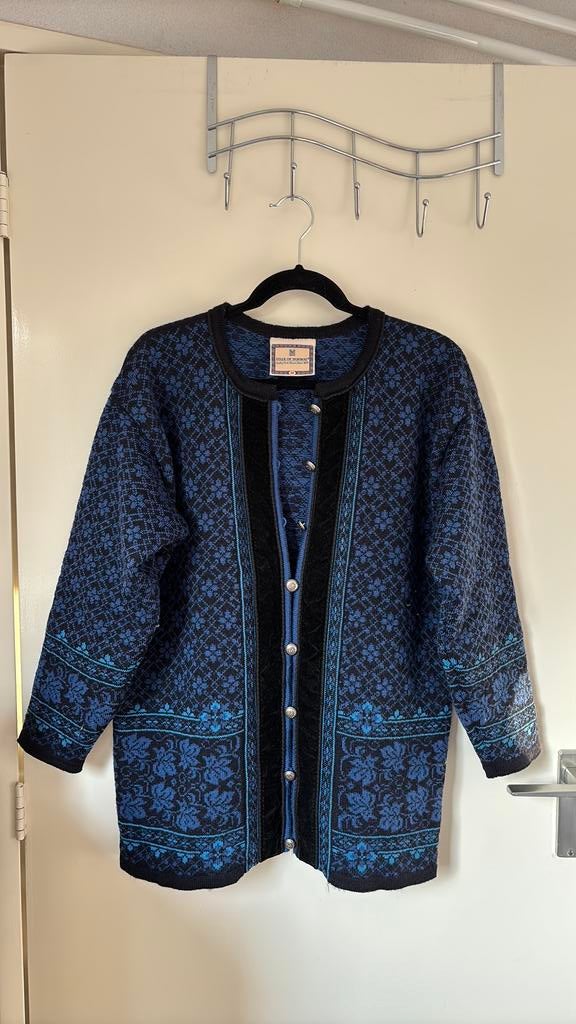 Dale of Norway lang vest, Kleding | Dames, Ophalen of Verzenden, Zo goed als nieuw, Maat 38/40 (M), Blauw