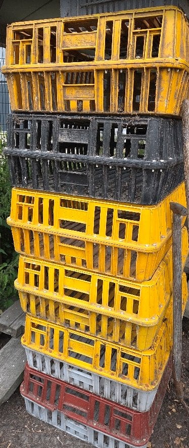 Pluimvee vangkooi, Ophalen, Zo goed als nieuw, Kunststof, Vogelkooi