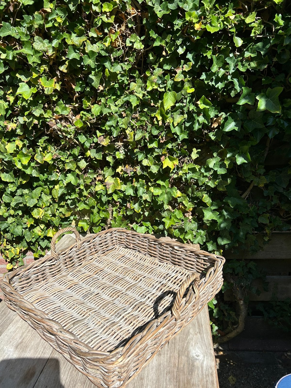 Landelijke stijl Groot dienblad  bamboe, Ophalen, Zo goed als nieuw, Rond, Riet