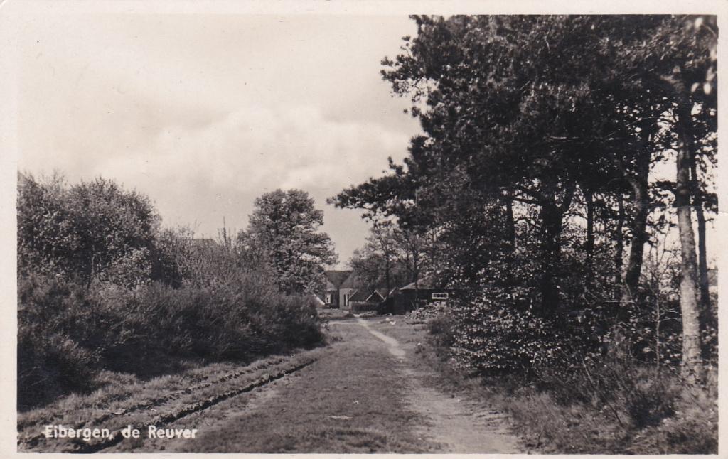 18346 De Reuver Eibergen Achterhoek gelopen 1960 Borculo, Verzenden, 1940 tot 1960, Gelopen, Gelderland