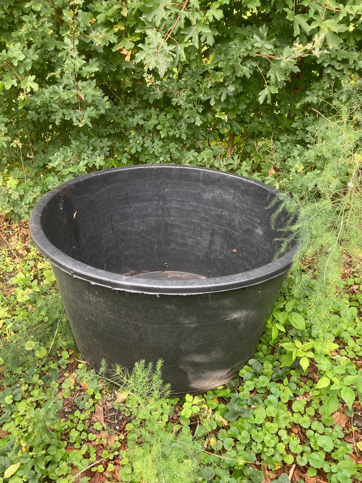 Enorme bloembak pot 285 liter boomcontainer boomkuip, Ophalen, Kunststof, Gebruikt, 100 cm of meer