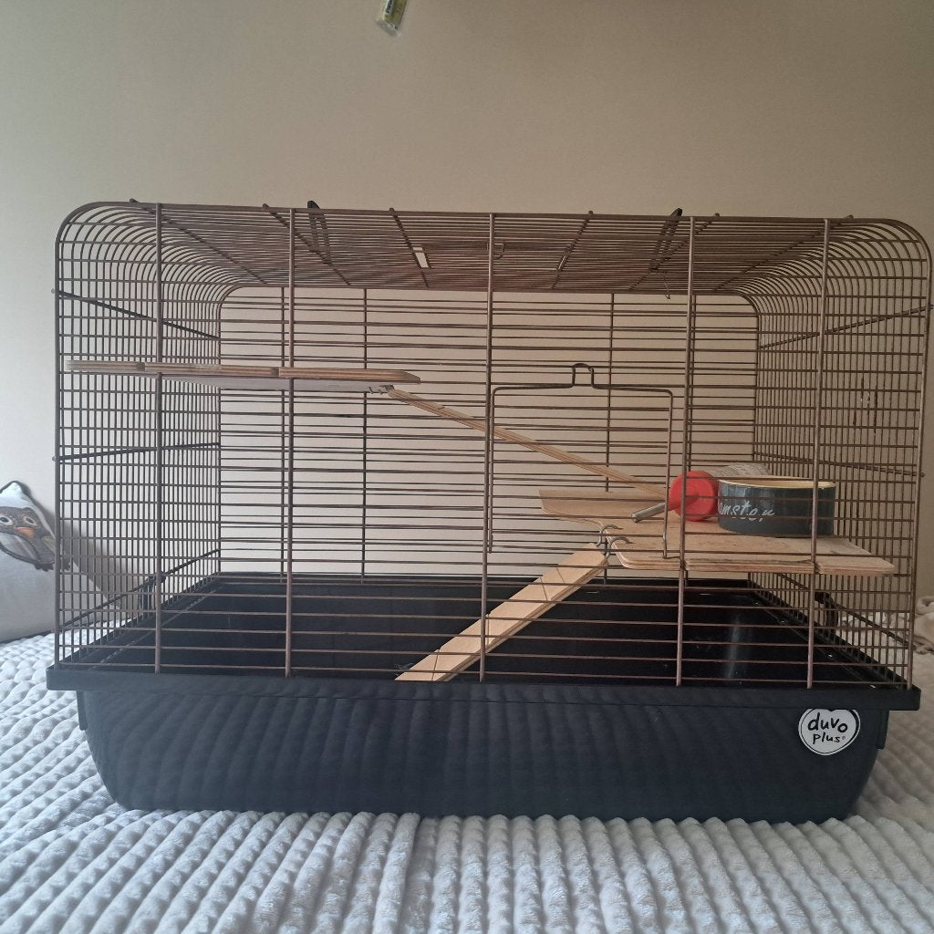 Hamsterkooi, Dieren en Toebehoren, Kooi, Gebruikt, Minder dan 75 cm, Muis