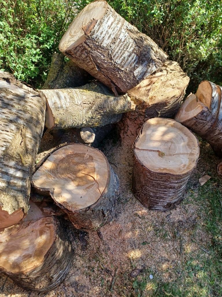 Brandhout boom stam .gratis ophalen, Minder dan 3 m³, Ophalen of Verzenden