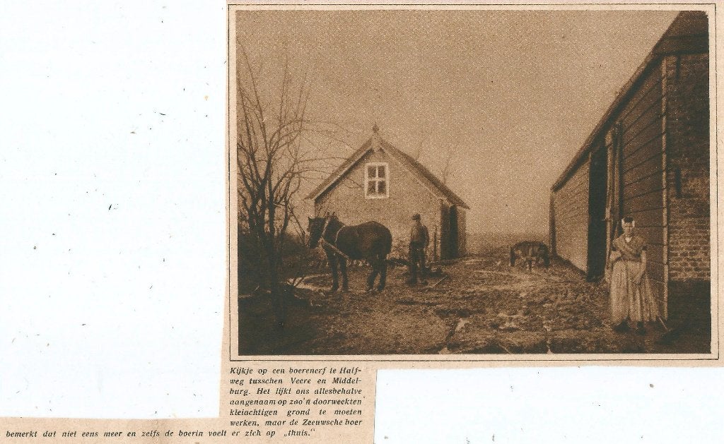 Halfweg op Walcheren rosmolen knipsel 1927 molen, Gebruikt, Ophalen of Verzenden, Gebouw, Voor 1940