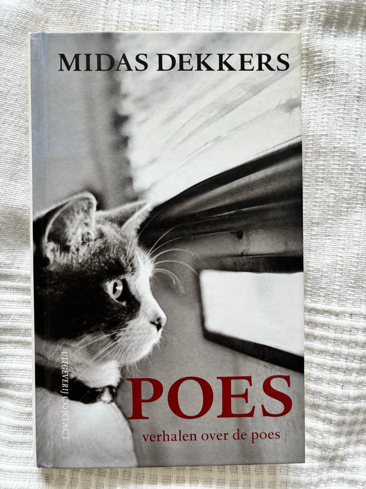Midas Dekkers - Poes: Verhalen over de poes, Boeken, Ophalen of Verzenden, Zo goed als nieuw, Katten