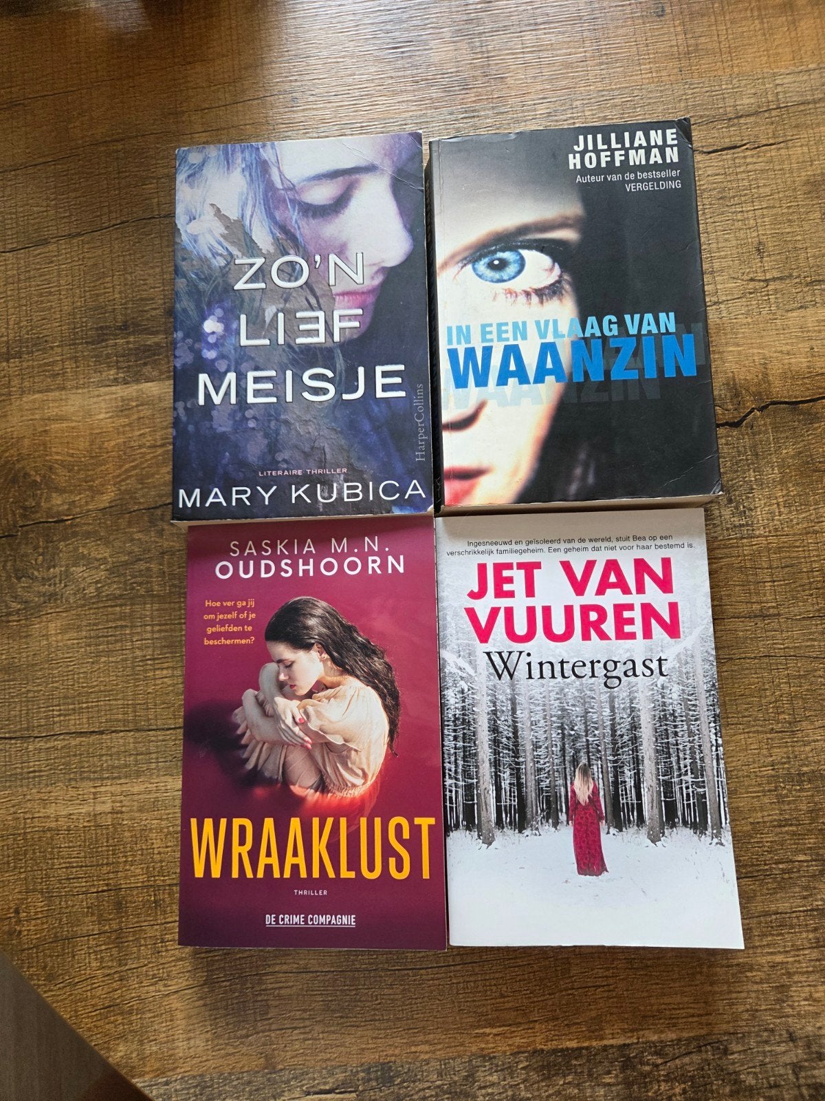 4 spannende thrillers., Ophalen of Verzenden, Gelezen, Mary Kubica, Jilliane Hoffman, Saskia M.N. Oudshoorn, Wintergast, Nederland