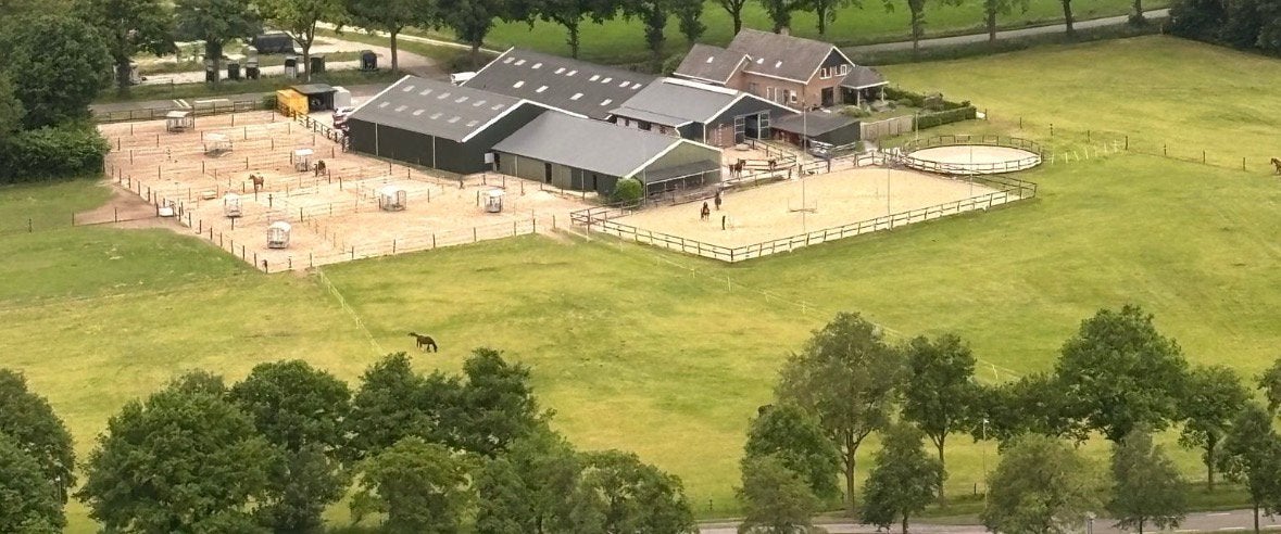 Pensionstalling De Aner-hoeve, Dieren en Toebehoren, Stalling en Weidegang, Stalling, Weidegang, Toebehoren, 4 paarden of pony's of meer