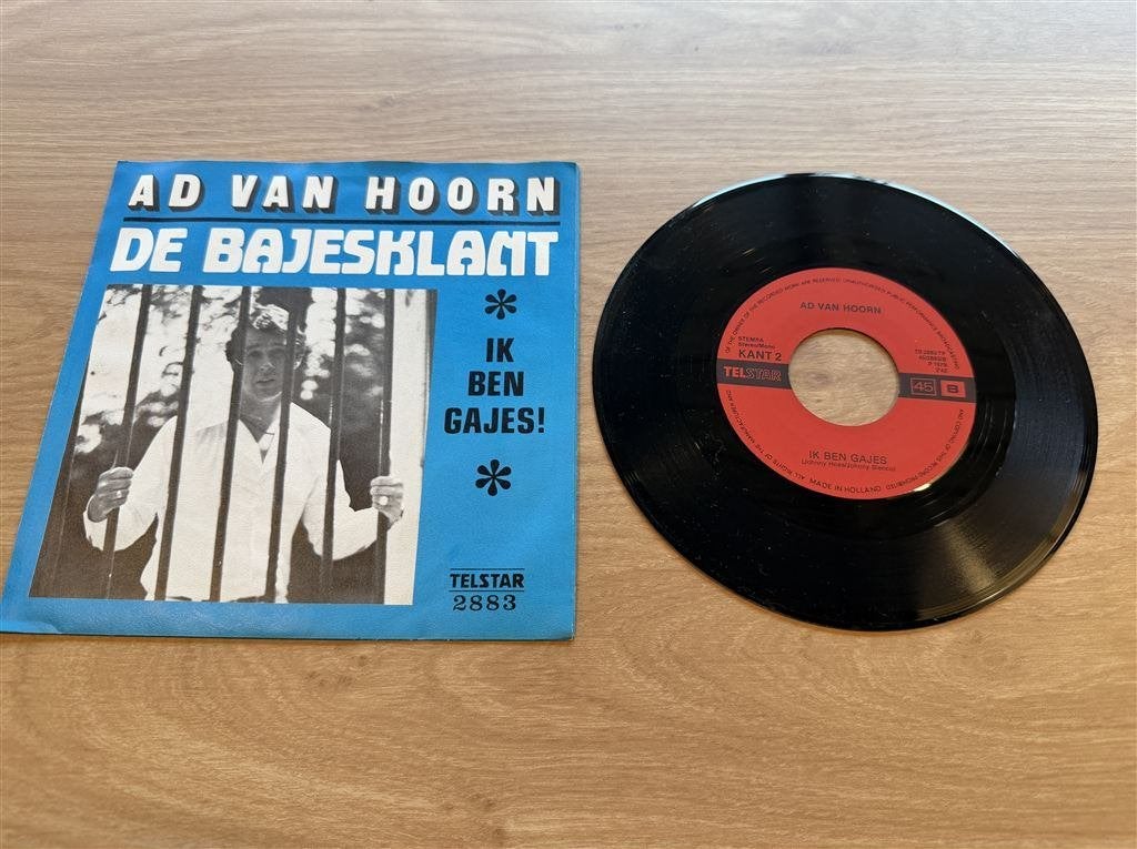 Ad van Hoorn - De Bajesklant, Ophalen of Verzenden, Zo goed als nieuw, Nederlandstalig