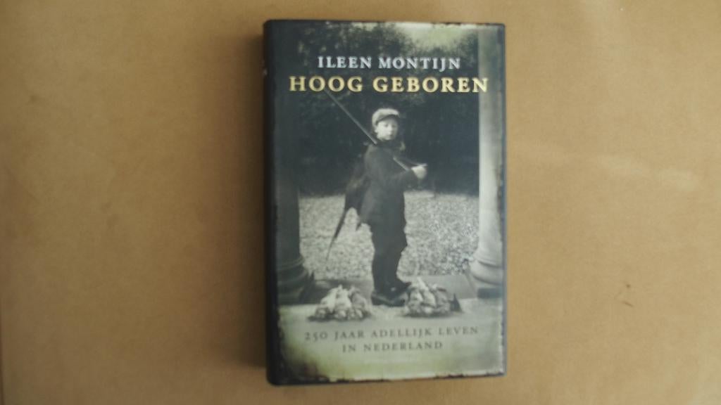 Hoog geboren - 250 jaar adellijk leven in Nederland -, Ophalen of Verzenden, Zo goed als nieuw, Ileen Montijn