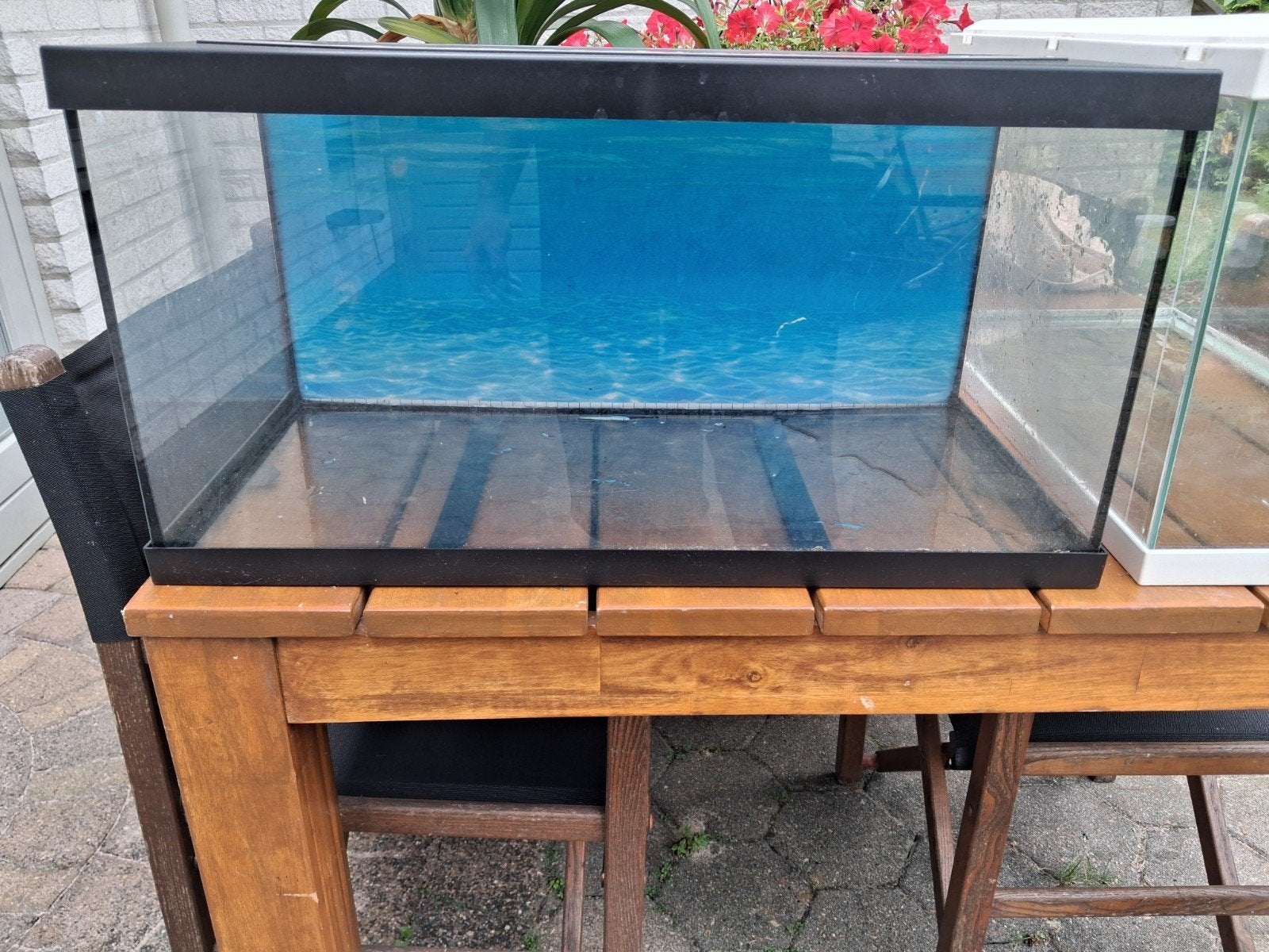 Eheim aquarium 60cm 60l 60x30x30, Dieren en Toebehoren, Vissen | Aquaria en Toebehoren, Ophalen, Zo goed als nieuw