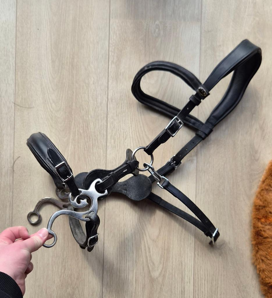 Fra calli bitloos hackamore sidepull hoofdstel cob, Ophalen of Verzenden, Overige soorten