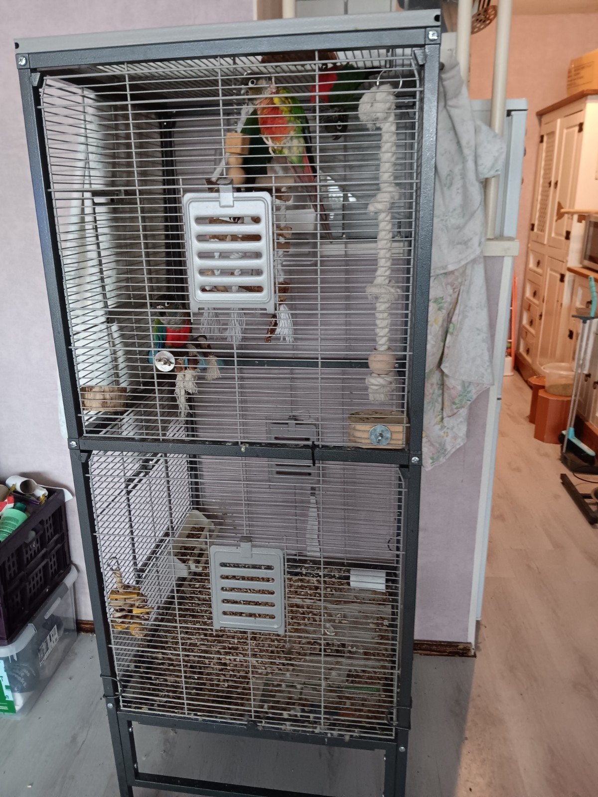 zo kooi gevraagd, Dieren en Toebehoren, Vogels | Hokken en Kooien, Ophalen of Verzenden, Hout, Vogelkooi