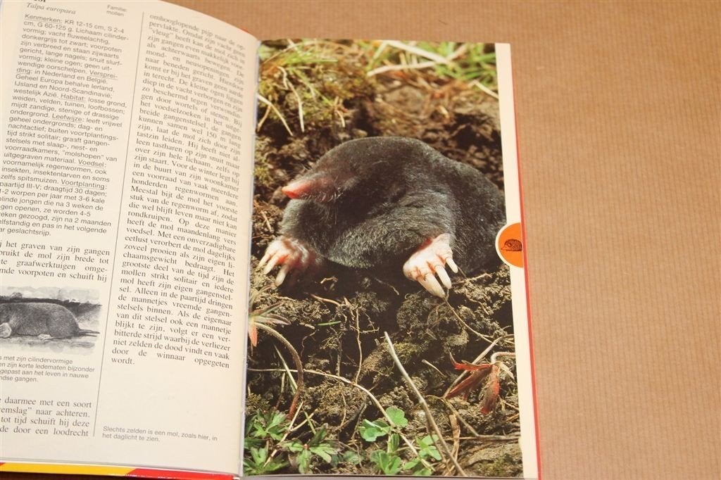 Zoogdieren — Geïllustreerde Veldgids van Europa, Ophalen of Verzenden, Gelezen, Vogels
