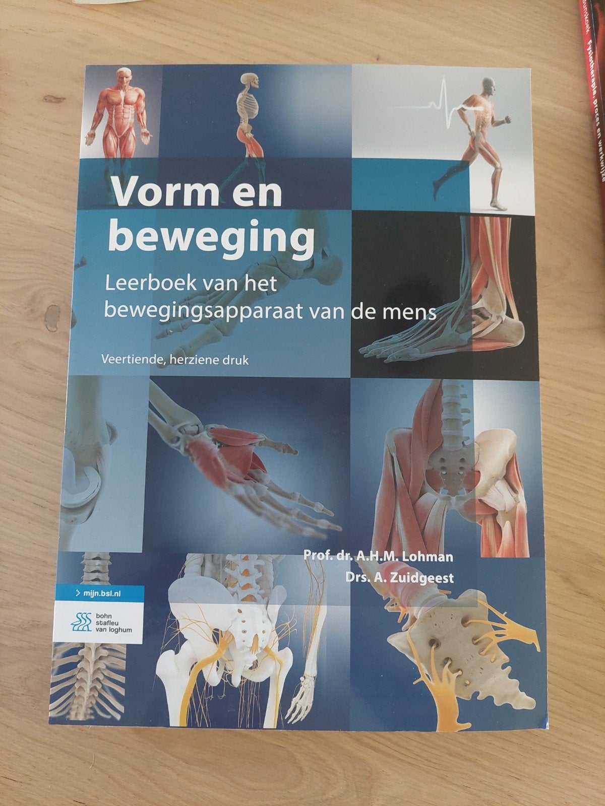 Vorm en beweging - Fysiotherapie studieboek (nieuw), Prof. dr. A.H.M. Lohman, Drs. A. Zuidgeest, Nieuw, Beta, HBO