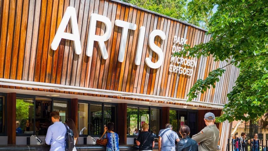 Vier Artis toegangskaarten – geldig t/m 31-10-2026, Drie personen of meer, Ticket of Toegangskaart