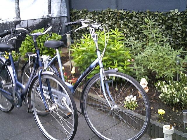Damesfietsen Gazelle, Ophalen, Gebruikt, Versnellingen, 50 tot 53 cm