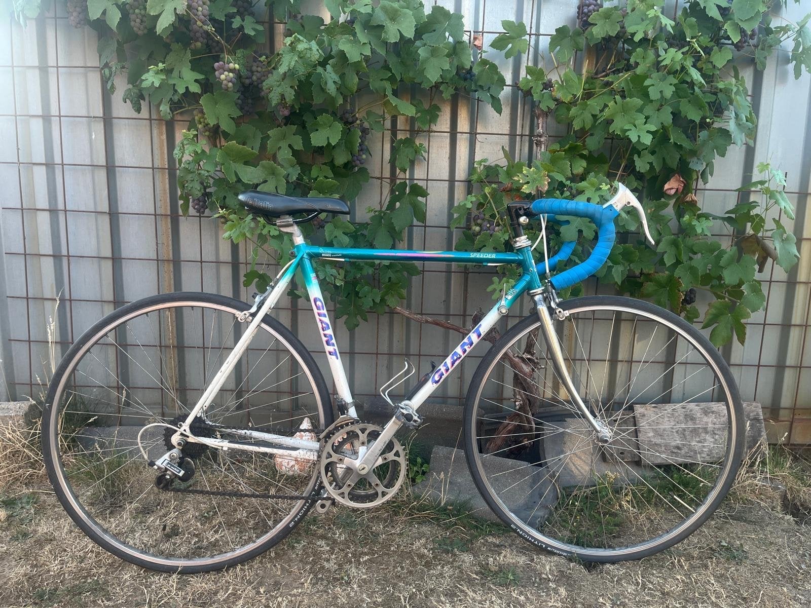 Retro Wielrenfiets - Frame 54cm, 28 inch wiel, Ophalen, 28 inch, Gebruikt, Staal