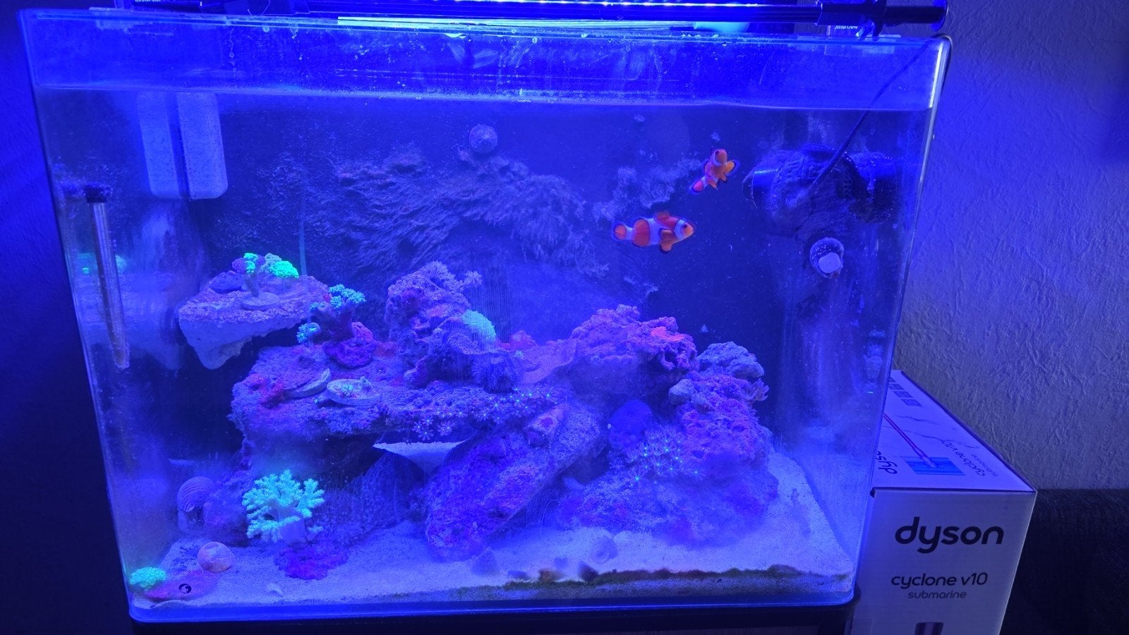 blue marine 120 liter zee aquarium, Dieren en Toebehoren, Ophalen, Inclusief vissen, Gevuld zeewateraquarium, Blue Marine