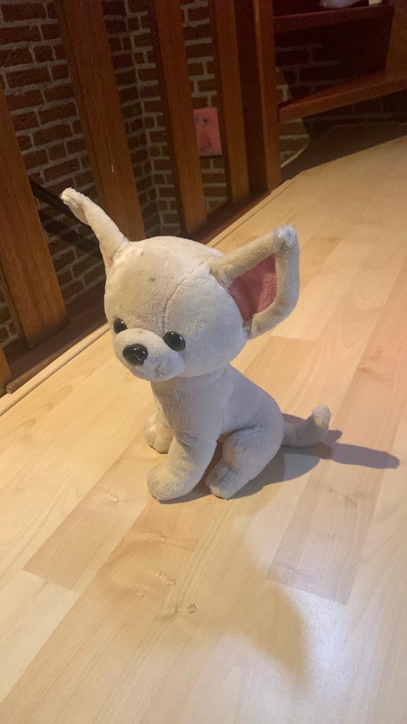Mooie chihuahua knuffel, Ophalen of Verzenden, Zo goed als nieuw