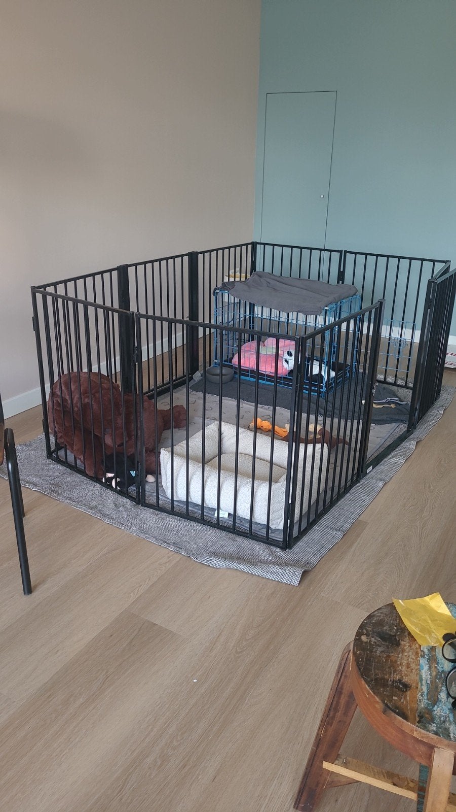 puppyren hondenren 10 panelen, Overige merken, Ophalen, Zo goed als nieuw, Hondenren