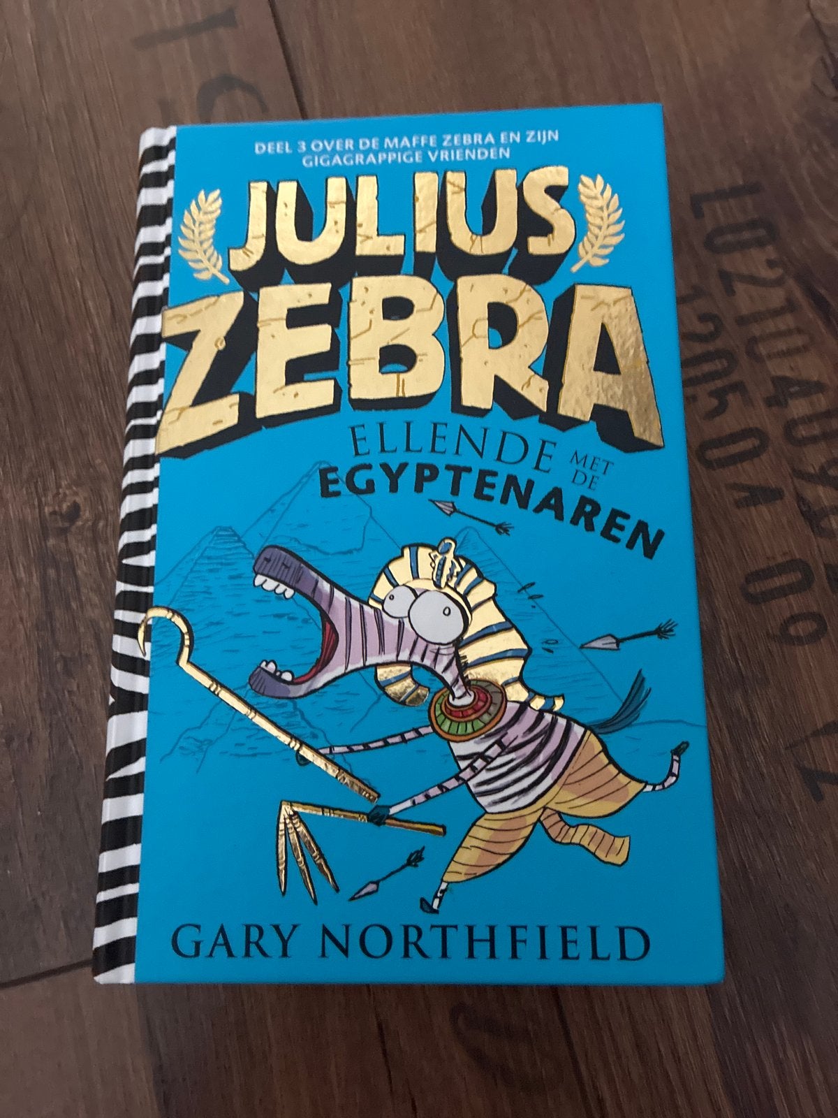 Julius Zebra: Ellende met de Egyptenaren - Gary Northfield, Ophalen of Verzenden, Zo goed als nieuw, Fictie algemeen