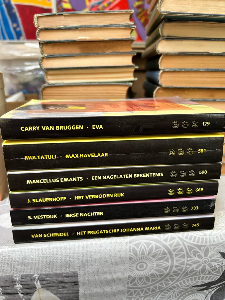 6 Salamander Klassiek boeken Multatuli, Vestdijk, Slauerhoff, Ophalen, Gelezen, Nederland