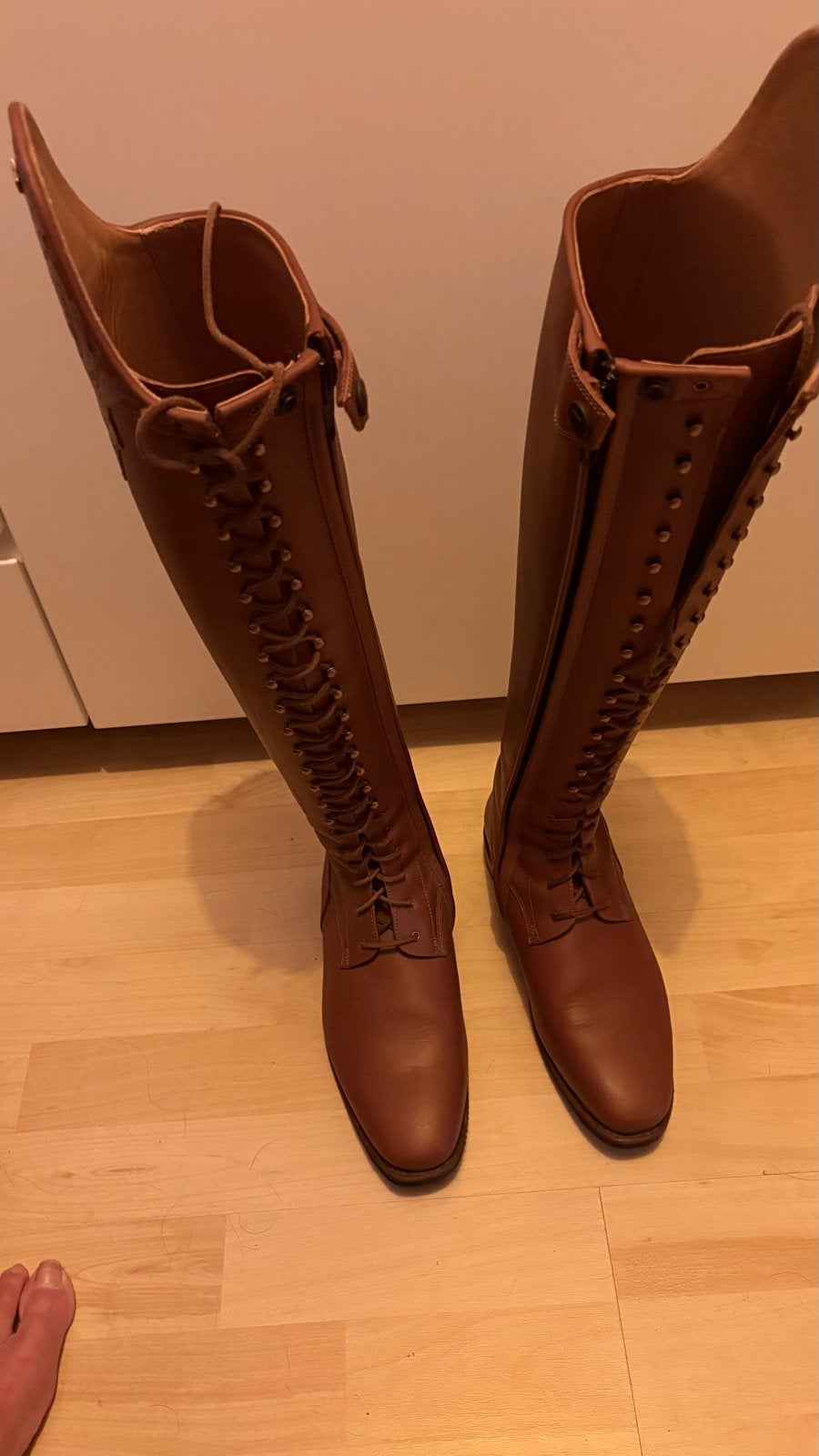 Paardrijlaarzen DeNiro mt. 39, Dieren en Toebehoren, Paarden en Pony's | Overige Paardenspullen, Ophalen of Verzenden, Nieuw, Dressuur