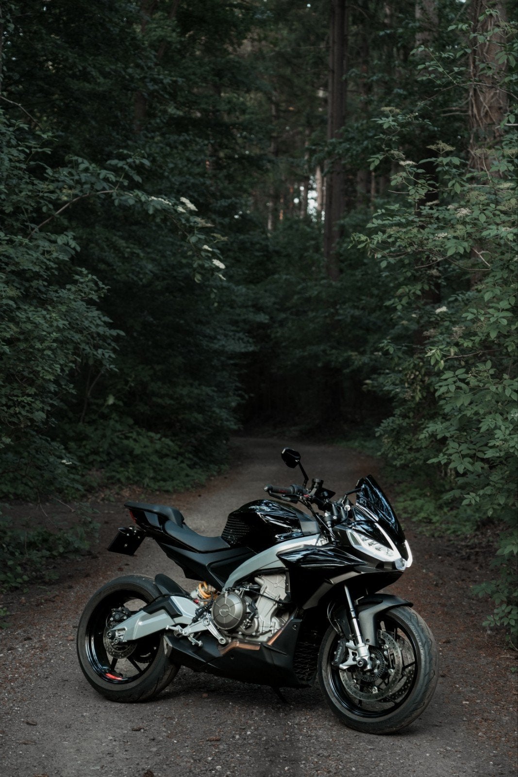 Aprilia Tuono 660 Factory 2023 Origineel NL Fabrieksgarantie, Traction Control, 2 cilinders, Occasion, Motorrijbewijs A