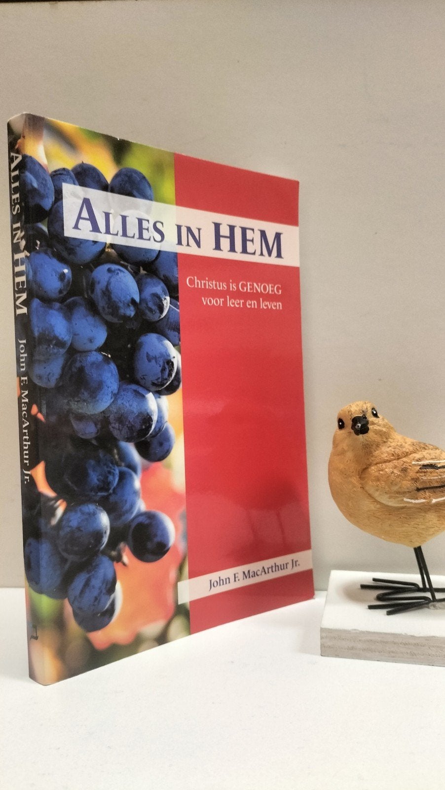 MacArthur jr,  John Alles in Hem, Boeken, Ophalen of Verzenden, Gelezen, Christendom | Protestants