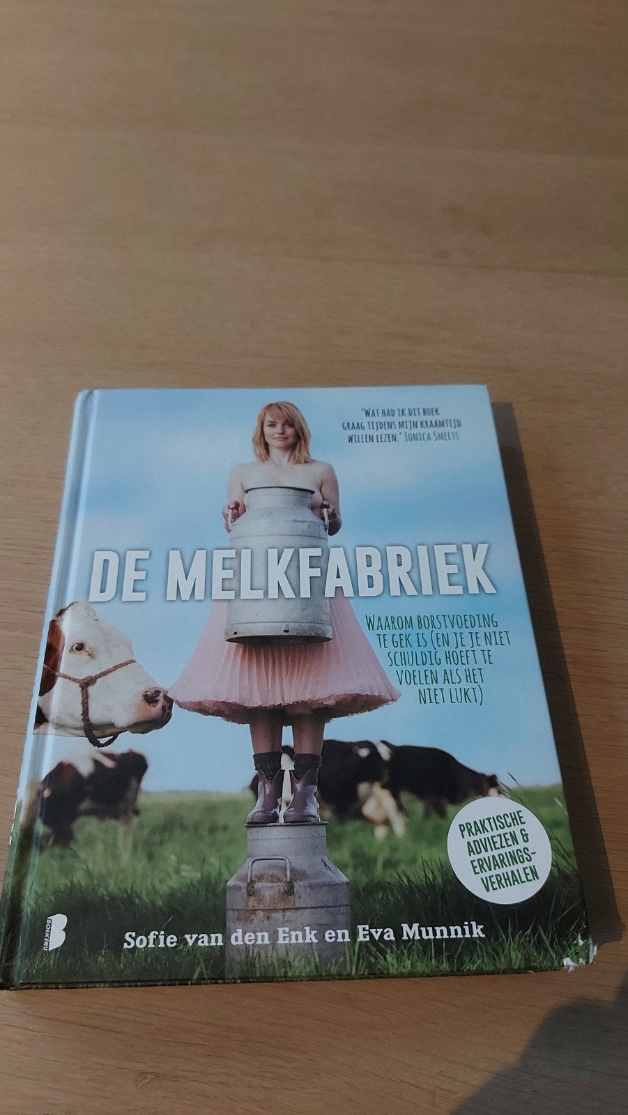 De Melkfabriek: Borstvoeding advies en ervaringen, Boeken, Ophalen of Verzenden, Gelezen, Zwangerschap en Bevalling, Sofie van den Enk en Eva Munnik