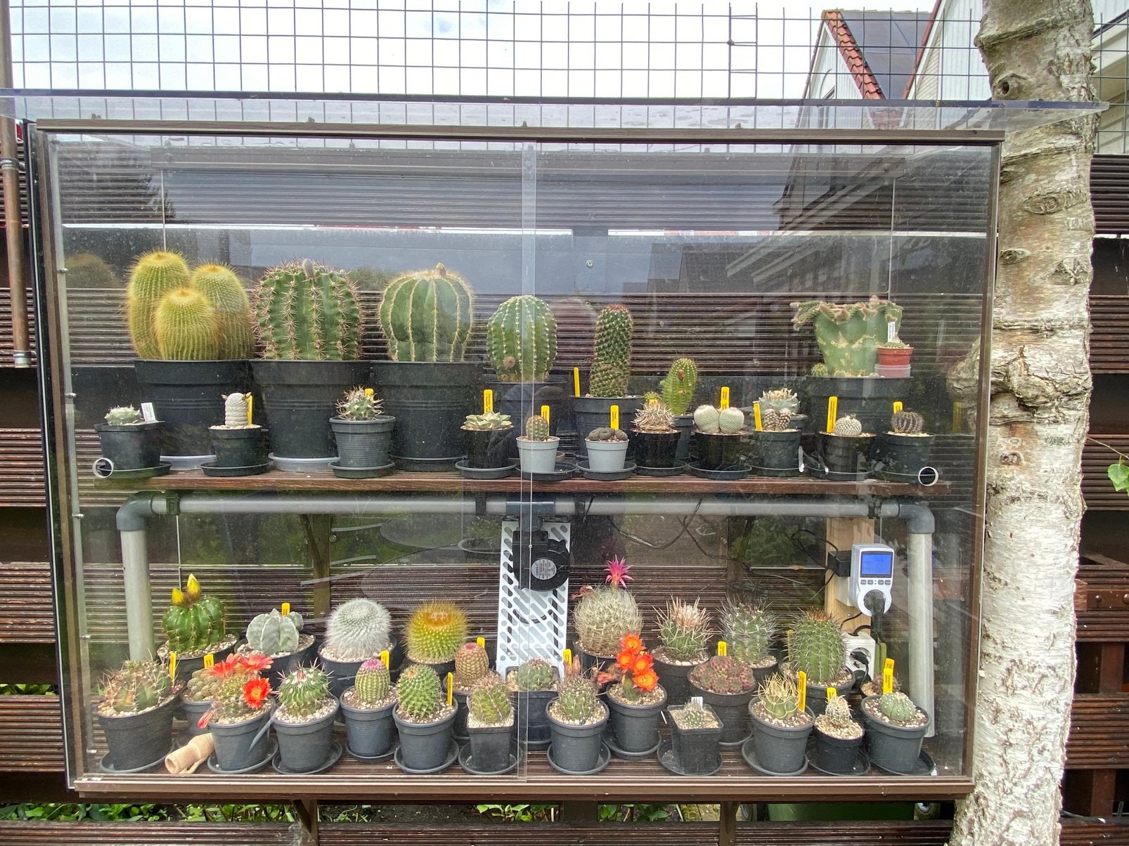 Muurkasje plexiglas en hardhout met schuifdeuren ex cactus!, Ophalen, Overige materialen, Muurkas, Overige materialen