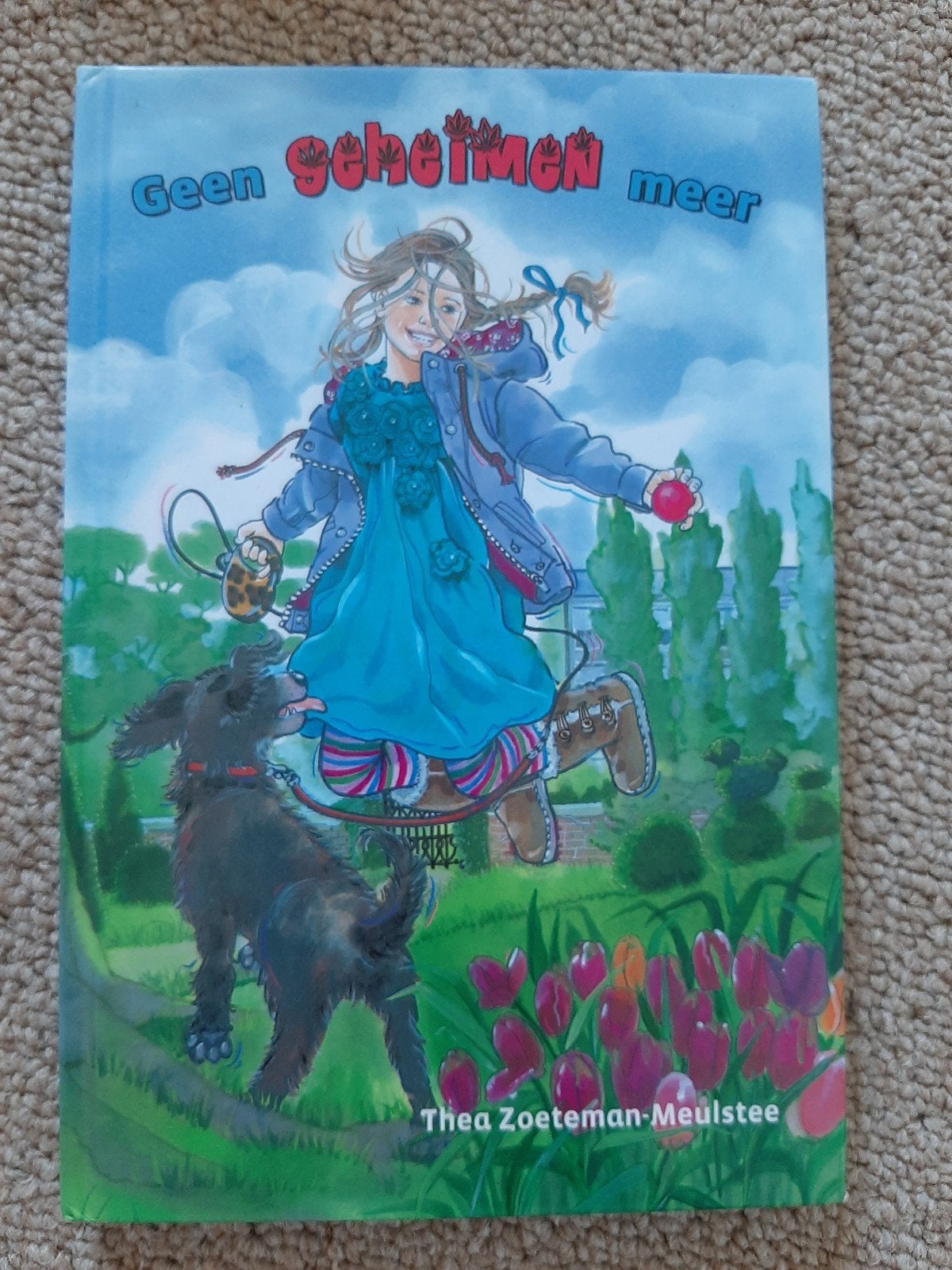 Geen geheimen meer - Thea Zoeteman-Meulstee, Boeken, Ophalen of Verzenden, Zo goed als nieuw, Thea Zoeteman-Meulstee, Fictie