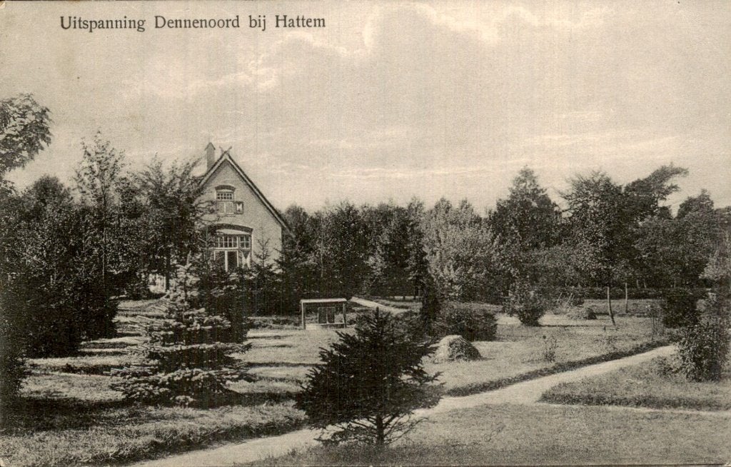 Hattem - Uitspanning - Dennenoord, Ophalen of Verzenden, 1920 tot 1940, Gelopen, Gelderland