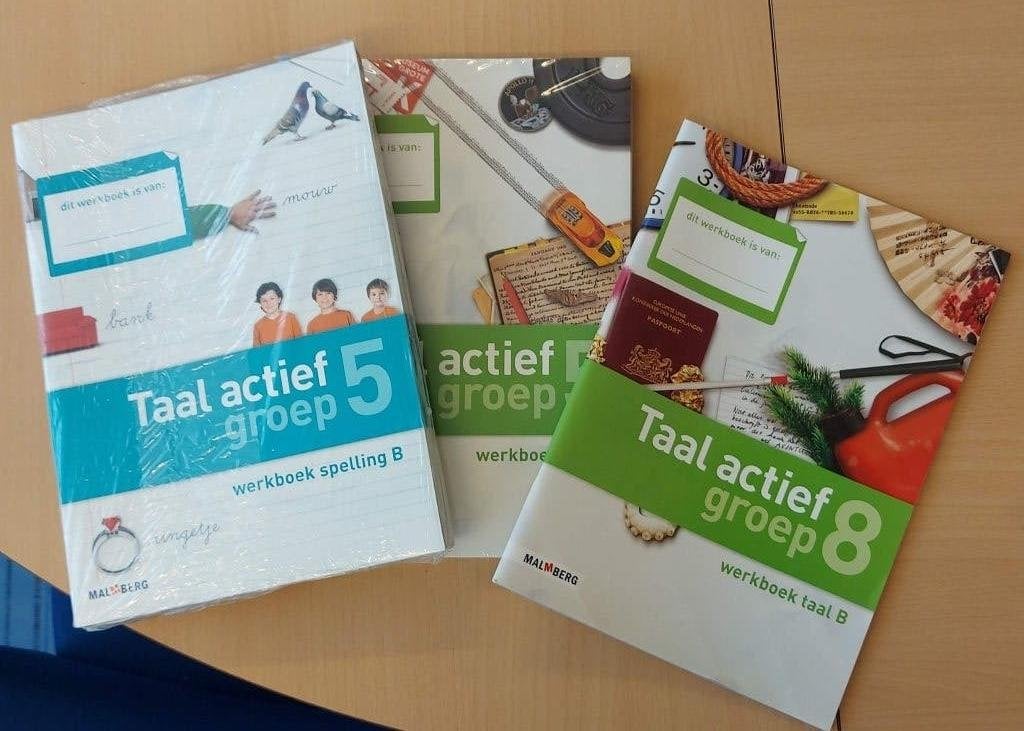 Taal actief (4) taal/spellingmethode, Boeken, Schoolboeken, Malmberg, Ophalen of Verzenden, Zo goed als nieuw, Nederlands