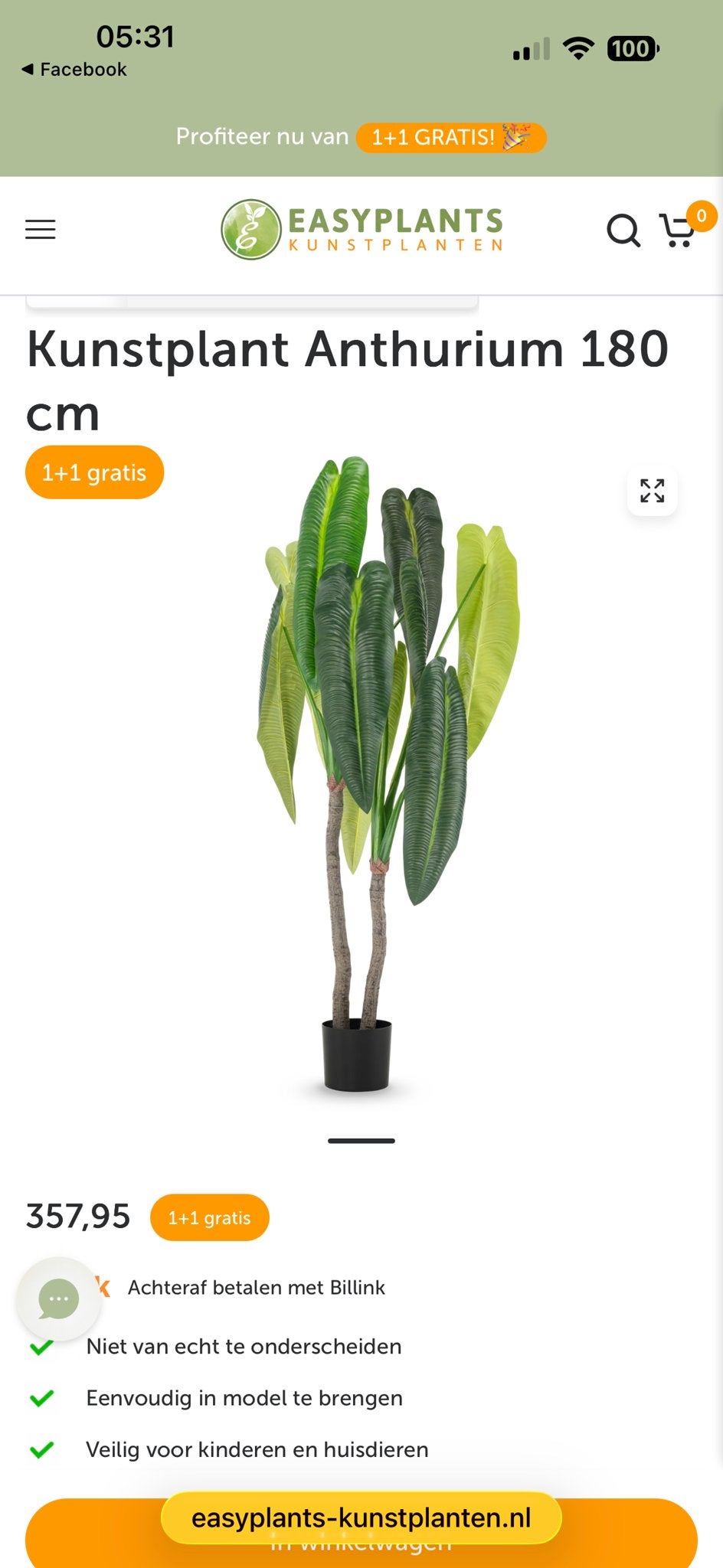 Kunstplant Anthurium 180 cm - Realistische Groene Decoratie, Ophalen of Verzenden, Vaste plant, Overige soorten
