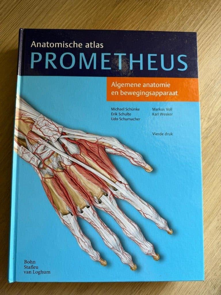 Anatomische atlas 1; Prometheus, Boeken, Michael Schünke, Erik Schulte & Udo Schumacher, Zo goed als nieuw, Beta, HBO