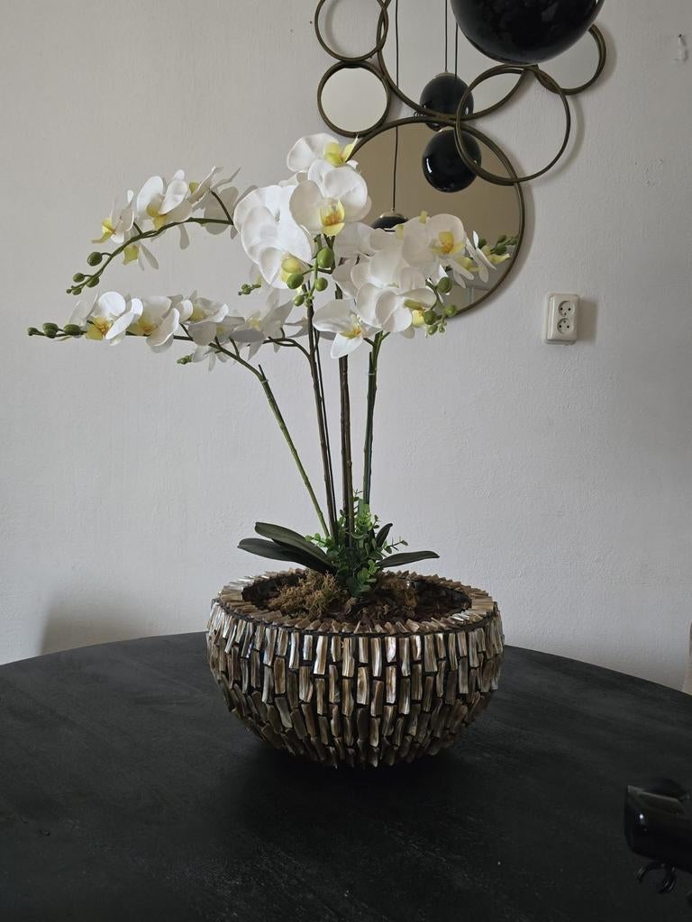 Grote schelpenvaas met kunst orchidee, Huis en Inrichting, Woonaccessoires | Vazen, Ophalen, Overige materialen, Overige kleuren