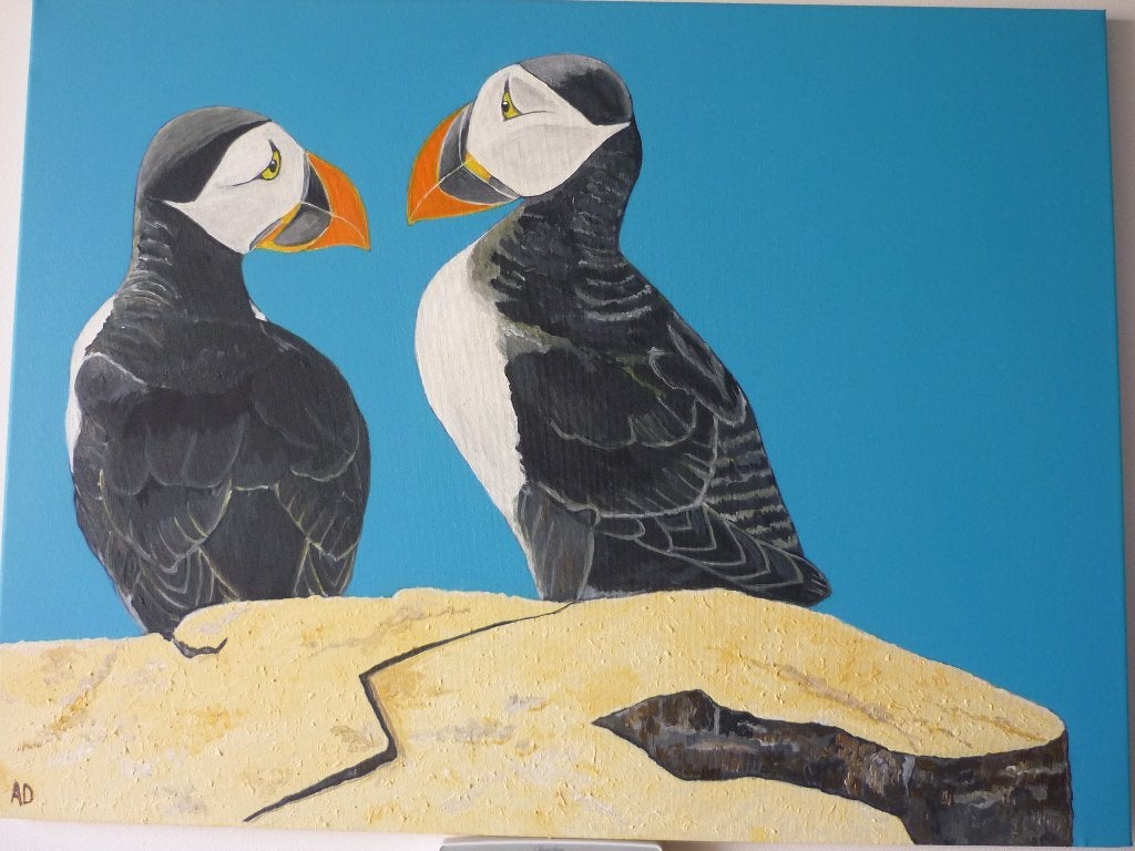 Papegaaiduikers, Acrylverf, Handgeschilderd, Ophalen of Verzenden, Dieren
