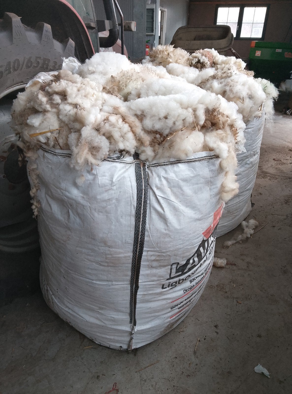 Schapenwol ongewassen. Nog ca 100 kilo, Vrouwelijk, Schaap