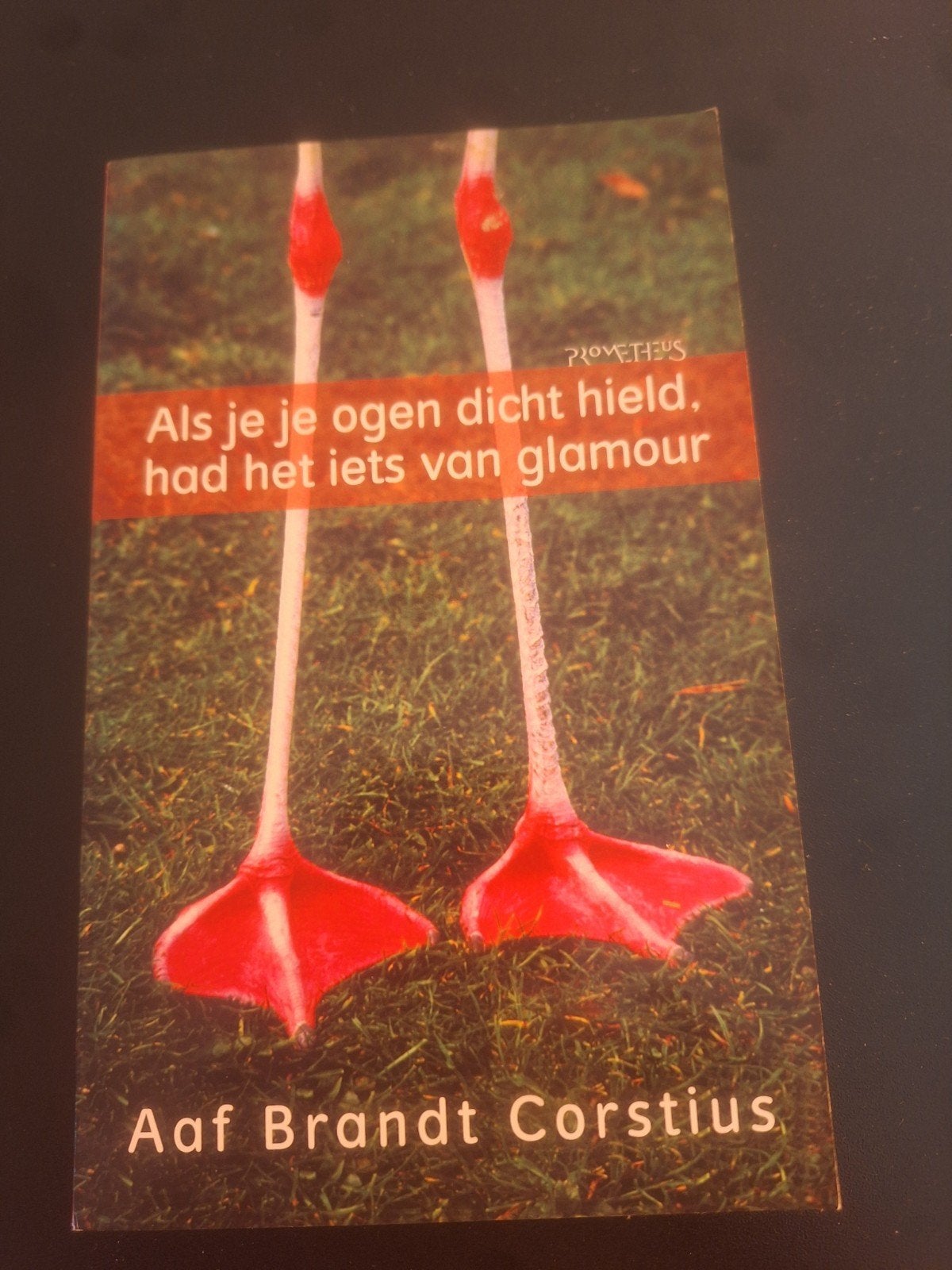 Als je je ogen dicht hield, had het iets van glamour, Ophalen of Verzenden, Gelezen, Aaf Brandt Corstius, Nederland